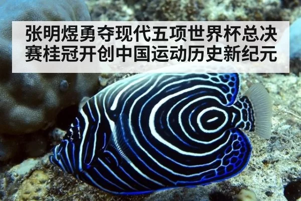 张明煜勇夺现代五项世界杯总决赛桂冠开创中国运动历史新纪元